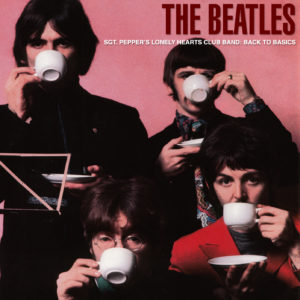 THE BEATLES - BACK TO BASICS COLLECTION / 26 CD's ! - Image 9