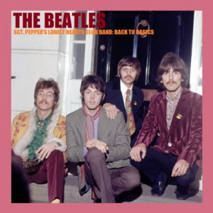 THE BEATLES - BACK TO BASICS COLLECTION / 26 CD's ! - Image 10